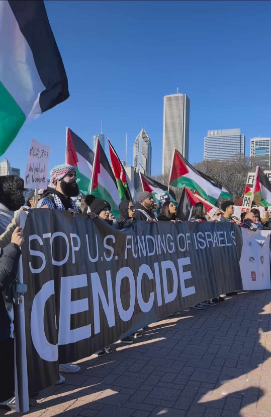 Chicago Police Attack Demonstrators at Pro-Palestine March
